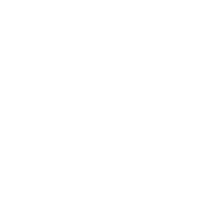 Roadex Icon